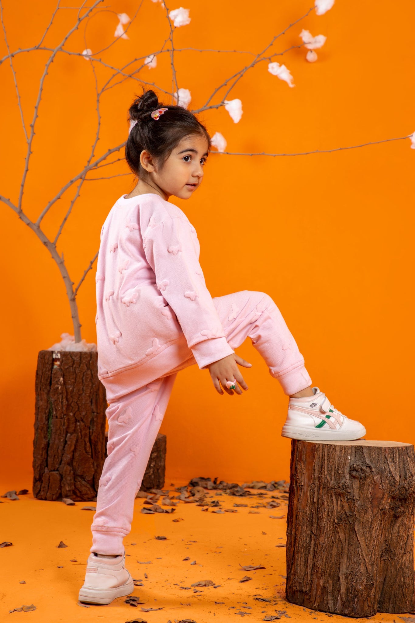 Pink Butterfly( Co_ord Set)